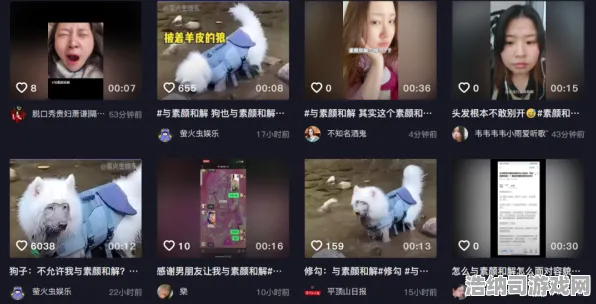 抖音热潮｜揭秘 羊了个羊无广告版 独家攻略｜v0425｜全网疯传的消除类游戏，无广版通关秘诀大放送！