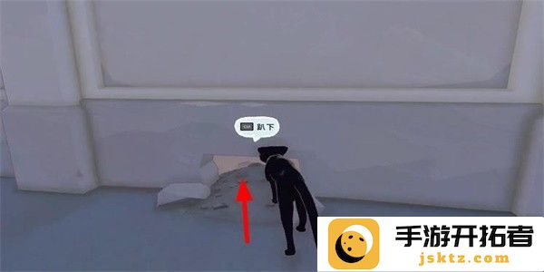 小猫咪大城市瓢虫帽怎么收集