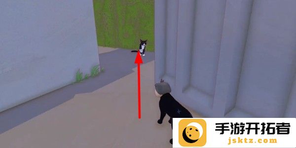 小猫咪大城市日常美容动作怎么获得