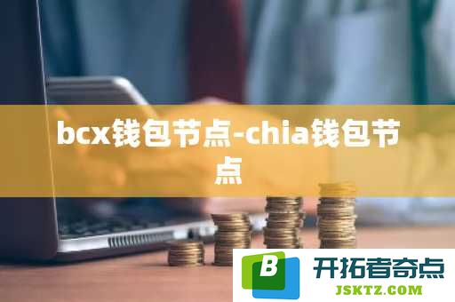 bcx与chia钱包节点的详细比较与设置指南，了解节点的配置与管理