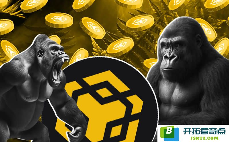 GORILLA币是否具备成为BNB链下一个市值达到1亿美元的热门memecoin的潜力？