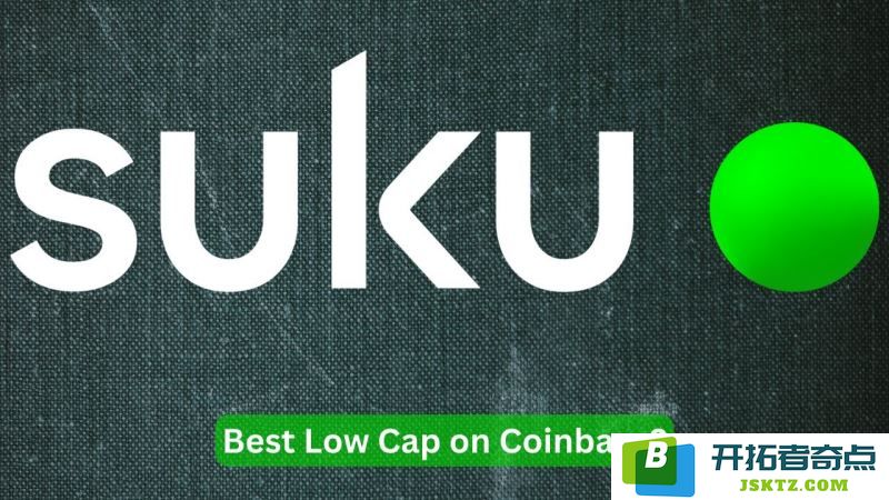 什么是SUKU币?SUKU币未来的投资潜力如何?到2030年SUKU币的价格预期能达到多少?