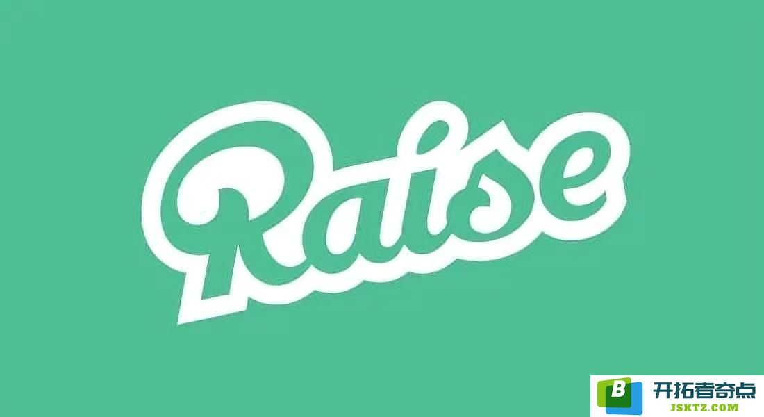 Raise项目详解：融资机制、发展历程与商业模式的全面解析