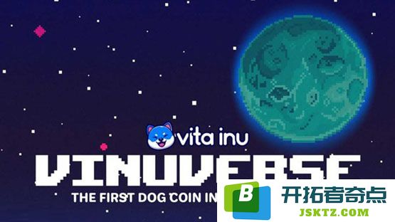 VINU币的实际应用是什么？了解VINU币的发行总量与当前流通状态