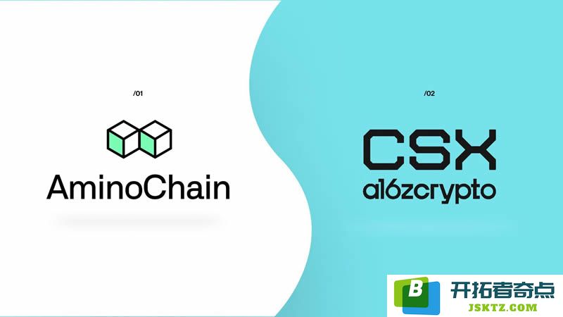 什么是AminoChain？了解其运作机制、团队构成及核心功能分析