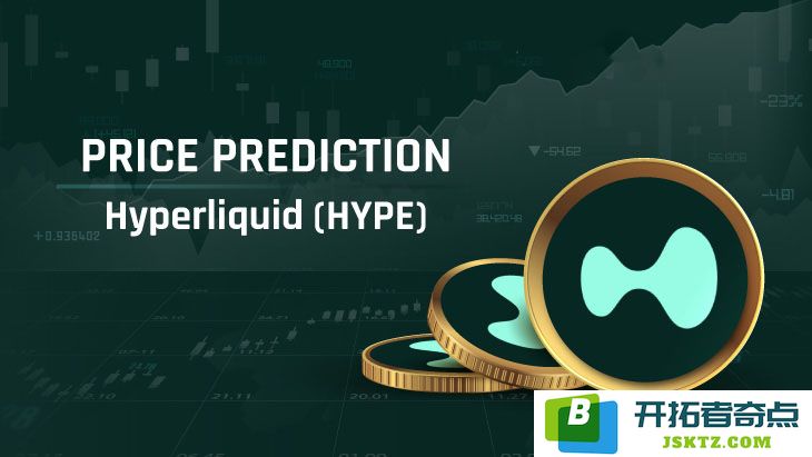 2025-2030年HYPE币价格趋势分析：是否有可能冲击100美元大关？