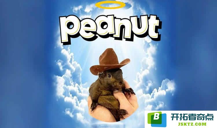 山寨币市场遭遇重创，PNUT币持有者的应对技巧与策略全面分析