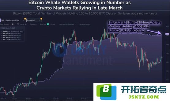 Santiment：比特币巨鲸开始重新累积BTC！山寨季无法到来是meme币影响？