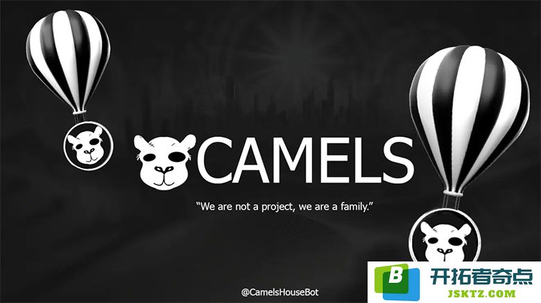 骆驼代币空投全面指南：领取您的$CAMELS代币的详细步骤与注意事项