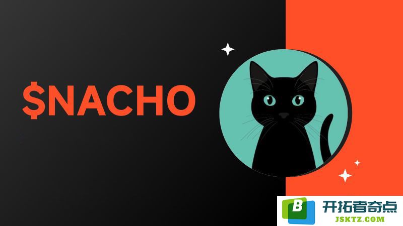 NACHO币的背景与发展：它的未来潜力究竟有多大？