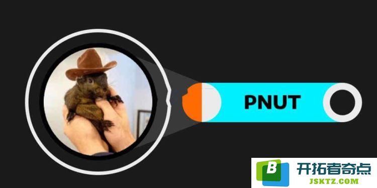 PNUT币是否具备成为百倍币的潜力？投资者该如何评估其购买价值？